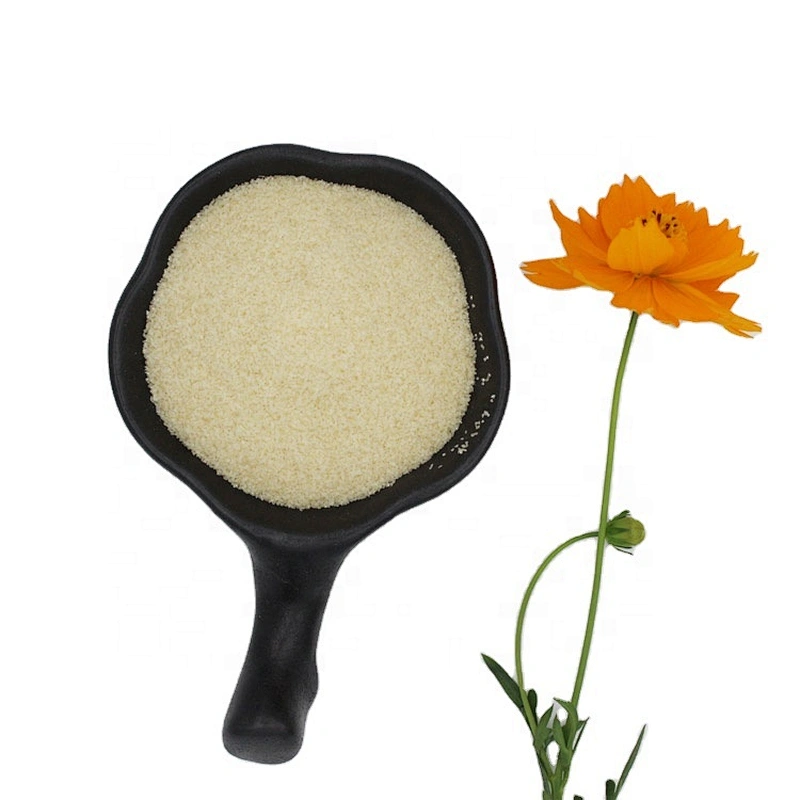 Wholesale Halal Edible Gelatin Powder From Bovine Skin for Gummies 150 Bloom